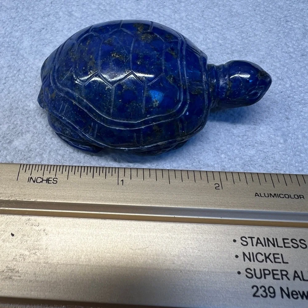 Blue lapis turtle - Picture 3 of 6